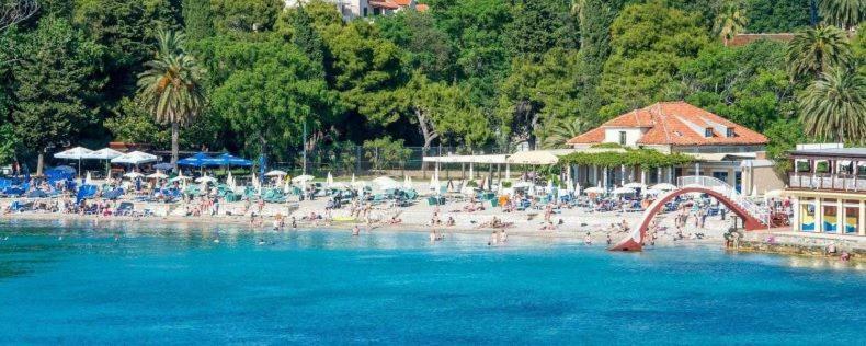 Comfortable 3* Apartment Lapad Center Dubrovnik Dış mekan fotoğraf